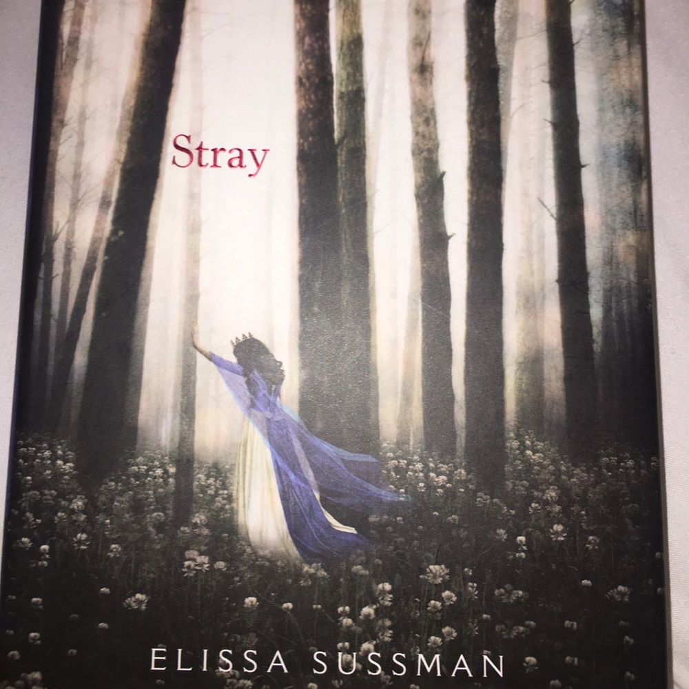 Stray novel